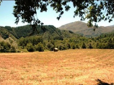 Foto Rustico in Via Provinciale, San Romano in Garfagnana di 650 m²