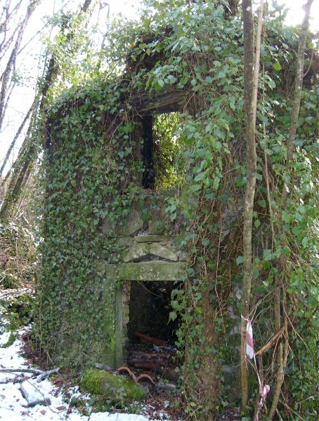 immagine annuncio 7 di 10