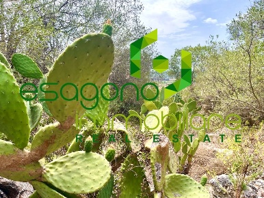 Foto Rustico in Epipoli, Siracusa Epipoli di 56 m² con 1 locali in vendita