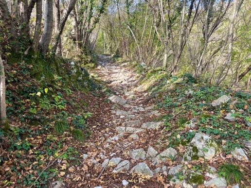 immagine annuncio 10 di 13