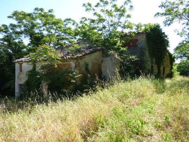Foto Rustico in Corso XXI Gennaio 125, Vallefoglia Montecchio di 300 m²