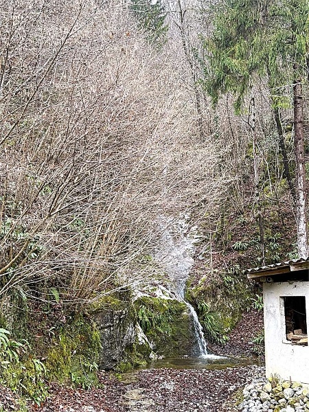 immagine annuncio 6 di 9