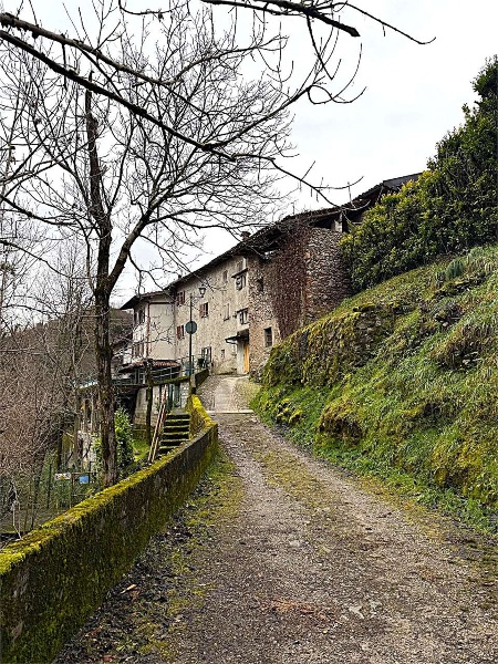 immagine annuncio 7 di 9
