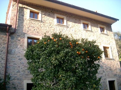 Foto Rustico in quiesa, Massarosa Bozzano, Quiesa di 620 m² con 12 locali