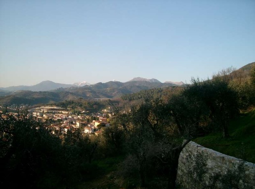 immagine annuncio 13 di 15
