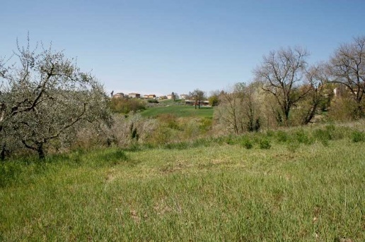 immagine annuncio 6 di 8