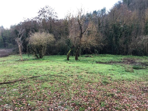 immagine annuncio 2 di 4