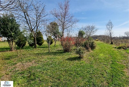 Foto Rustico a Annone Veneto di 179 m² con 8 locali in vendita