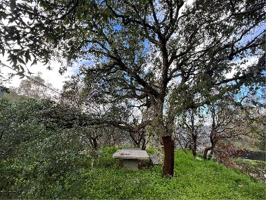 Foto Rustico in villaggio delle mimose  4, Sinnai Villaggio Delle Mimose