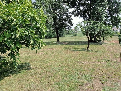 Foto Rustico a Quattordio di 750 m² con 9 locali in vendita