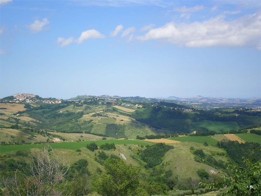 immagine annuncio 10 di 13