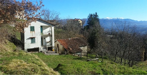 immagine annuncio 1 di 14