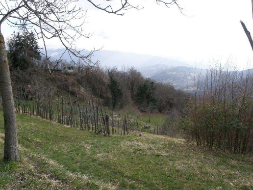 immagine annuncio 5 di 14