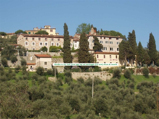 immagine annuncio 6 di 9