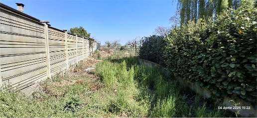 Foto Rustico a San Nazzaro Sesia di 300 m² con 10 locali in vendita