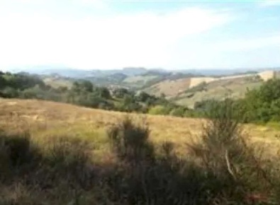 Foto Terreno agricolo in Località Ca Lazzaro, Urbino Centro in vendita