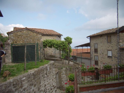 immagine annuncio 6 di 11