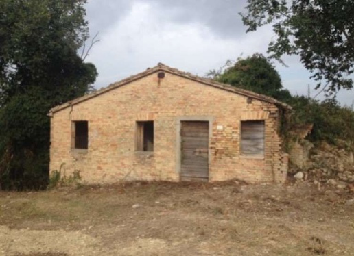 immagine annuncio 3 di 6