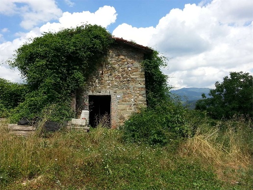 immagine annuncio 1 di 4