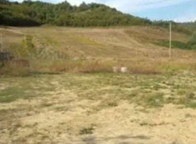 Foto Terreno agricolo in Località Paganico, Urbino Centro in vendita