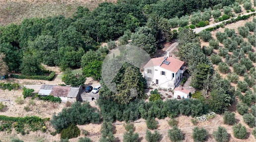 Foto Rustico a Campagnatico di 200 m² con 13 locali in vendita