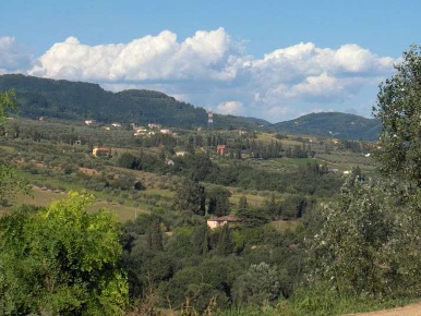 Foto Rustico a Capannori di 1000 m² con 15 locali in vendita