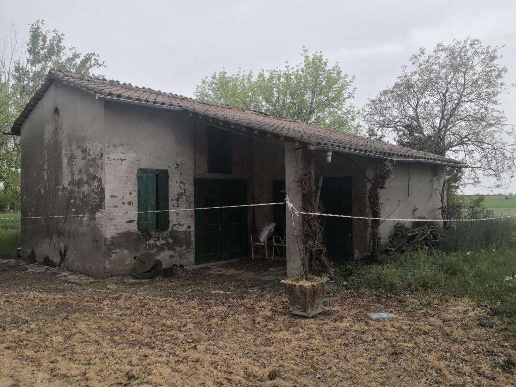 immagine annuncio 2 di 12