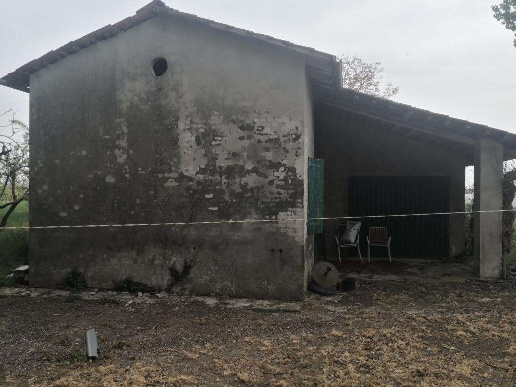 immagine annuncio 7 di 12