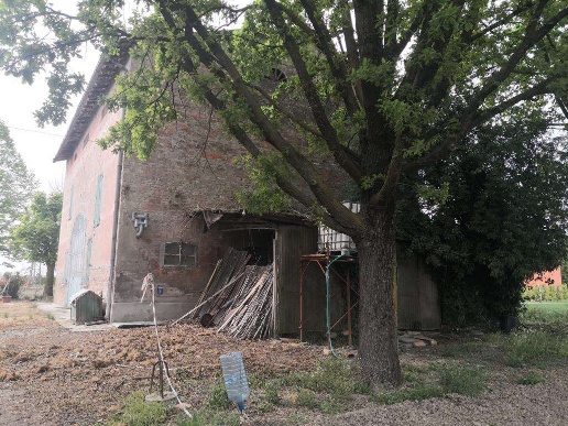 immagine annuncio 8 di 12