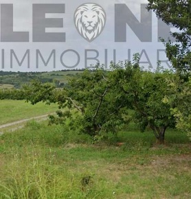 Foto Rustico a Marano sul Panaro di 200 m² con 7 locali in vendita