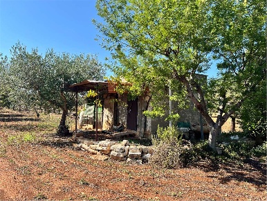 Foto Rustico a Conversano di 11 m² con 1 locali in vendita