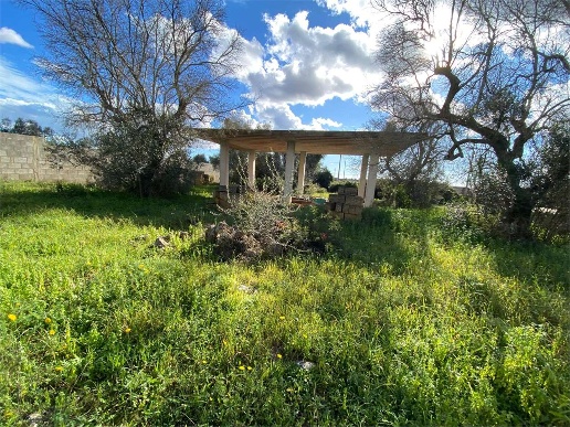 immagine annuncio 3 di 13