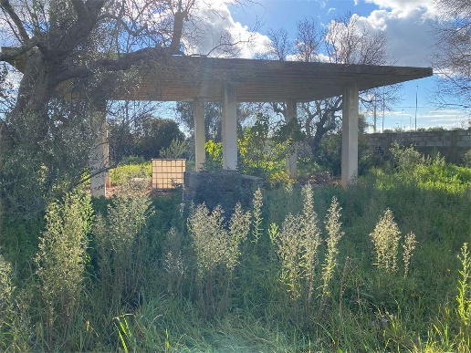 immagine annuncio 6 di 13