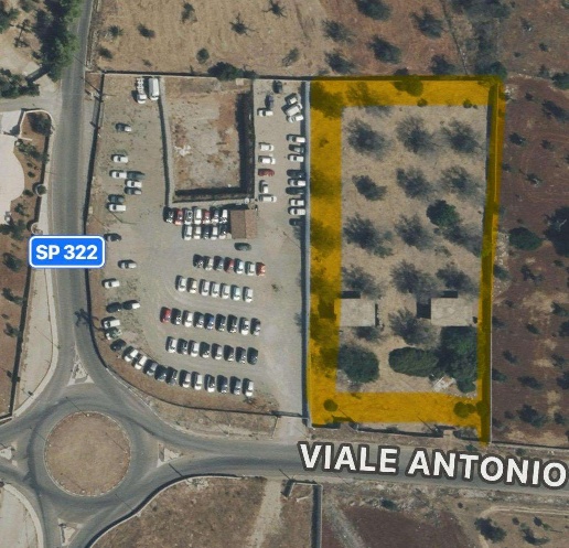 immagine annuncio 11 di 13