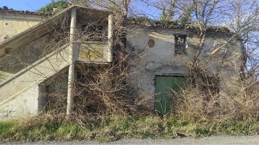 immagine annuncio 5 di 9