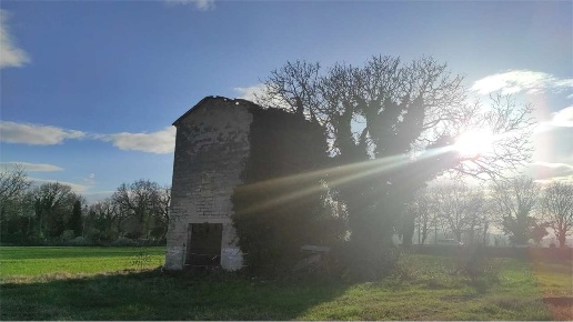 immagine annuncio 6 di 9