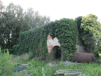 Foto Rustico in Altopascio, Altopascio Marginone di 350 m² con 12 locali