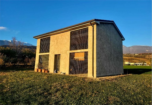 immagine annuncio 12 di 15