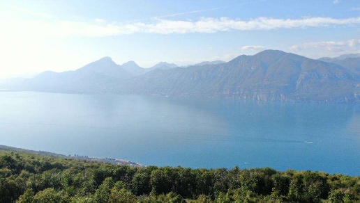 immagine annuncio 2 di 3