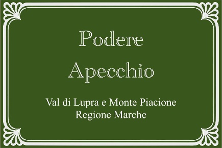 Foto Rustico in Vocabolo Monte Piacione, Apecchio di 200 m² con 20 locali