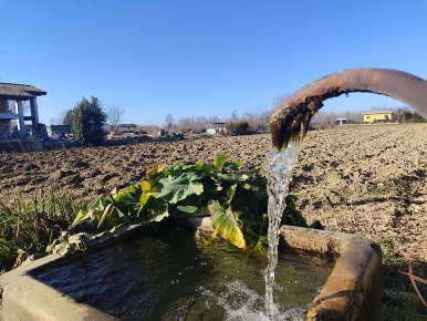 Foto Rustico a Chions di 11800 m² con 1 locali in vendita