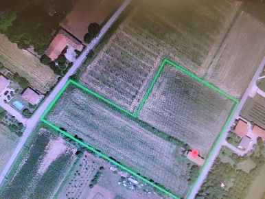 Foto Rustico a Chions di 11800 m² con 1 locali in vendita