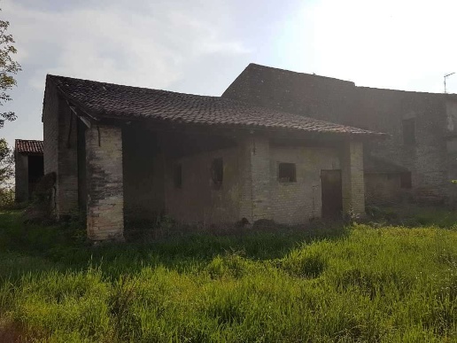 immagine annuncio 4 di 8