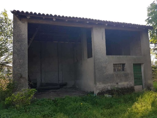 immagine annuncio 5 di 8