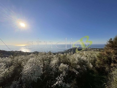 Foto Rustico in Via Cornice dei Due Golfi snc, Bordighera di 60 m²
