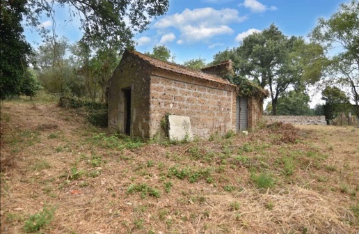 immagine annuncio 3 di 7