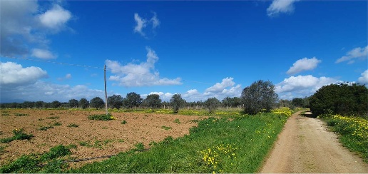 immagine annuncio 3 di 7