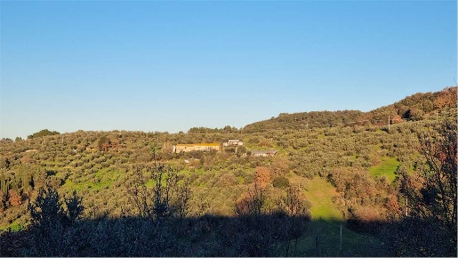 Foto Rustico a Torgiano di 400 m² con 10 locali in vendita