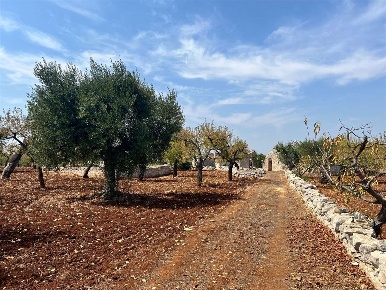 Foto Rustico a Conversano di 158 m² con 3 locali in vendita
