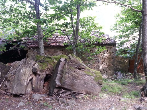 immagine annuncio 3 di 13